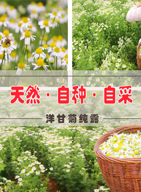洋甘菊舒缓纯露520mL补水舒润泛红维稳强韧屏障红丝敏肌喷雾爽肤