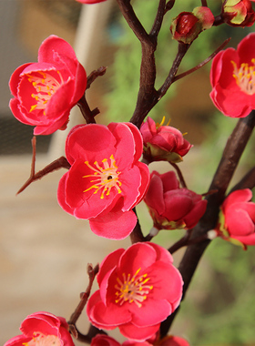 腊梅高档摆件客厅过年装饰花