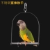 Parrot Đồ chơi Chim nhỏ Lồng Phụ kiện Thép không gỉ Vẹt Xoay Vòng Vẹt Đồ chơi Lồng chim - Chim & Chăm sóc chim Supplies lồng bẫy chim Chim & Chăm sóc chim Supplies