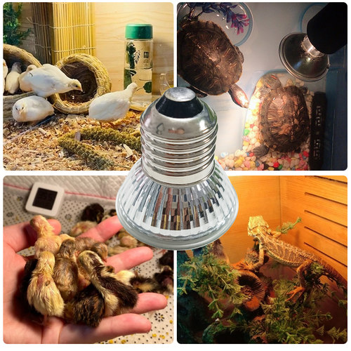 芦丁鸡保温灯宠物小鸡育雏小太阳取暖灯养殖场专用温控器加热灯泡-图0
