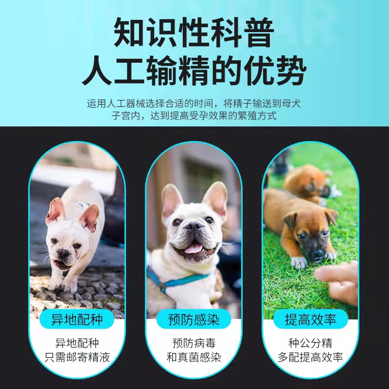 狗狗输精管配种犬用输精一次性人工授精兽用配狗器深部狗用助孕器