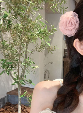 新中式山茶花朵抓夹女夏季高级感半扎发头花发夹鲨鱼夹2026新款