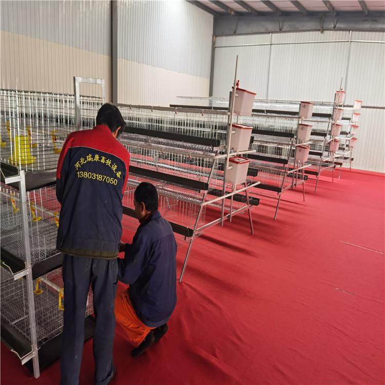 粪盘肉鸡笼镀锌工艺耐腐蚀耐用,淘宝优惠券,粉丝福利购,淘宝优惠卷