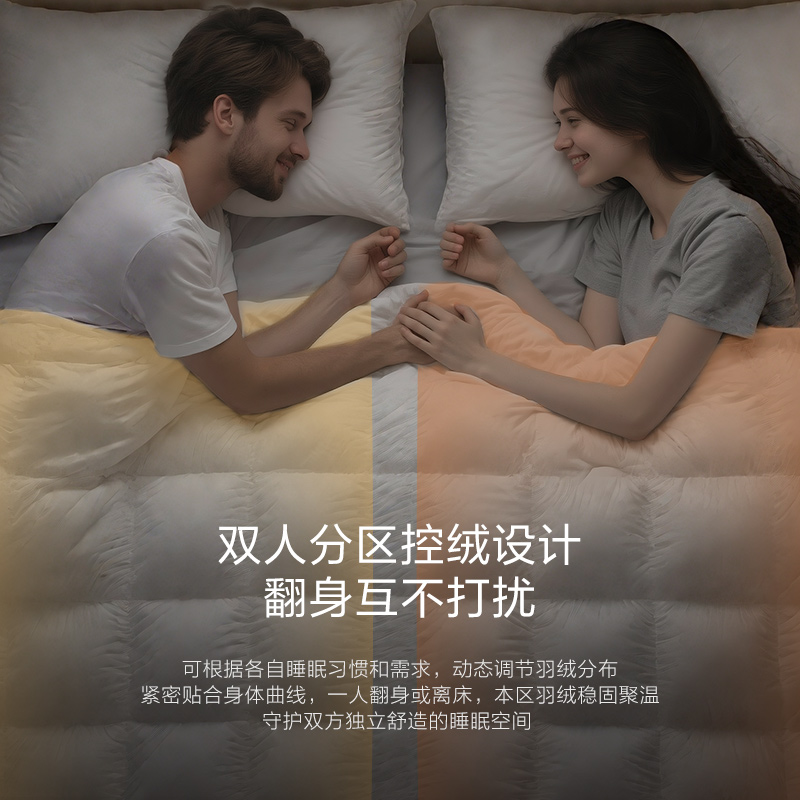 MINE/寐5A波兰95白鹅绒冬被100支纯棉抗菌春秋羽绒被芯 乌托邦Ⅱ - 图0