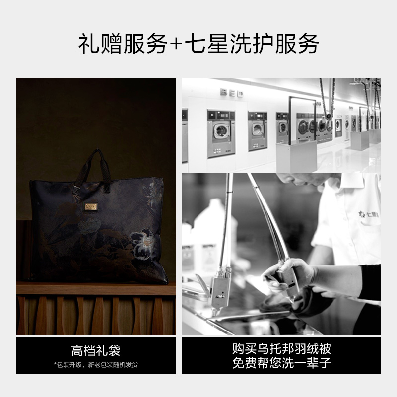 MINE/寐5A波兰95白鹅绒冬被100支纯棉抗菌春秋羽绒被芯 乌托邦Ⅱ - 图2