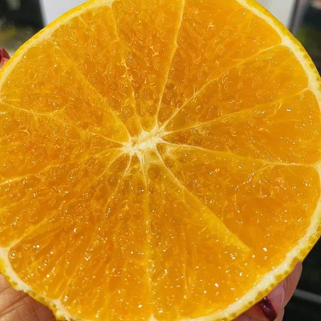柚香美人甜桔柚大果礼盒装高山橘子庆元甜橘柚子新鲜水果桔子甜柚,淘宝优惠券,粉丝福利购,淘宝优惠卷