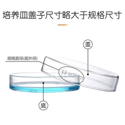 玻璃培养皿加厚款细胞细菌培养皿直径60 75 90 100 120 150 - 图0