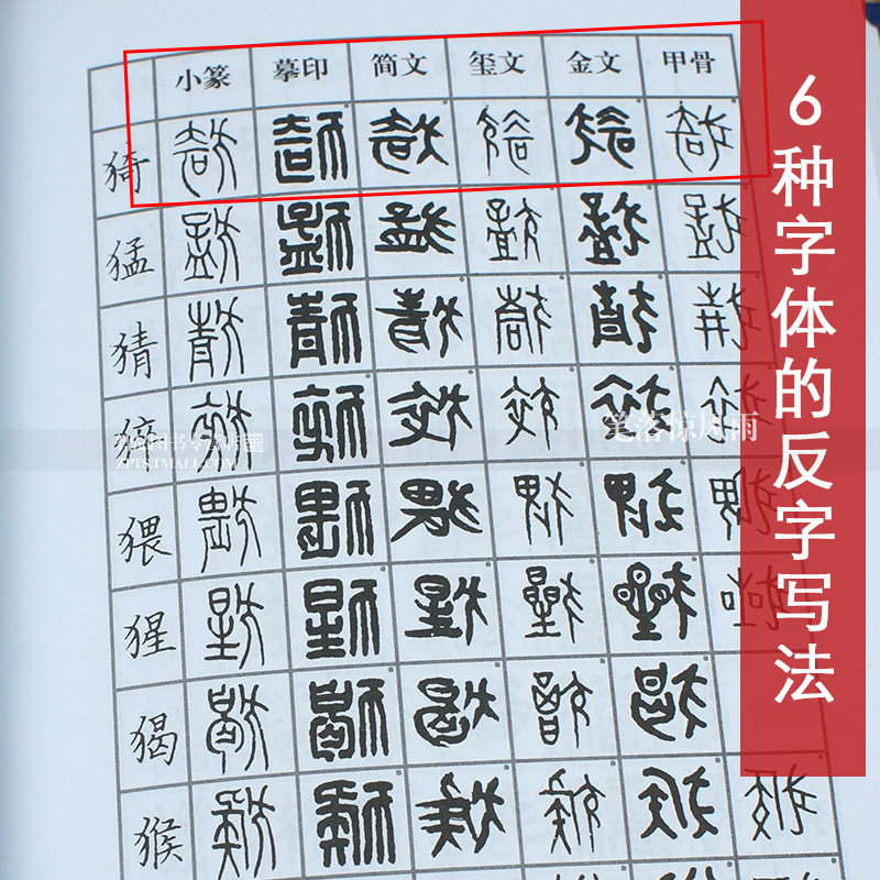 【正版授权】篆刻常用反字字典 精装版 小篆摹印简文玺文金文甲骨文 篆刻工具书 篆书印章初学者篆刻字典 入门篆刻工具教材书籍_虎窝淘