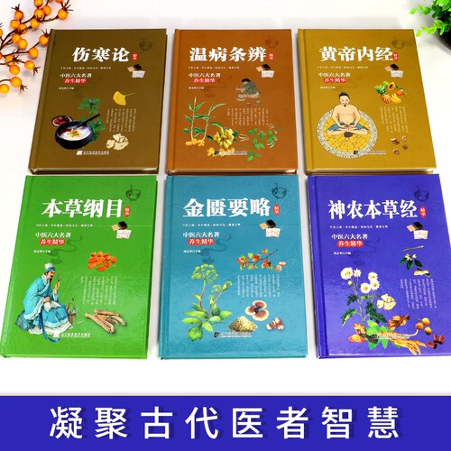 中医书籍大全中医六大名著全6册黄帝内经全集正版本草纲目原版全套中医基础理论皇帝内经中医正版金匮要略伤寒论 张仲景正版医学类 - 图3