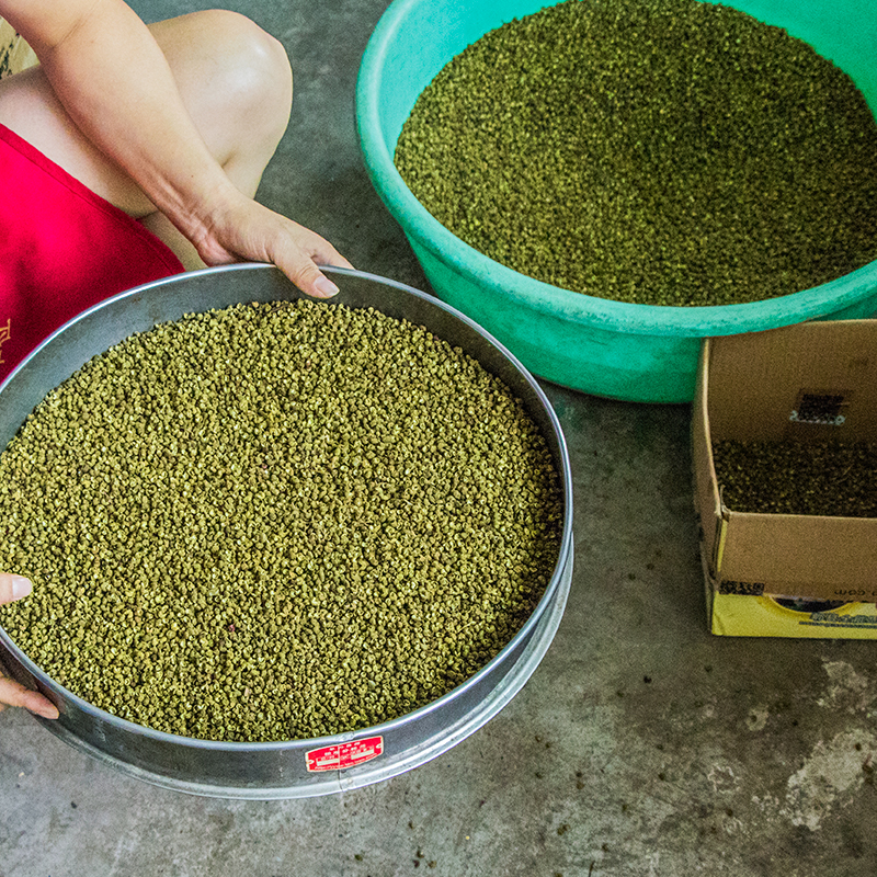 金阳青花椒干货500g绿藤椒正宗食用麻椒特麻四川花椒粒精选商用-图0