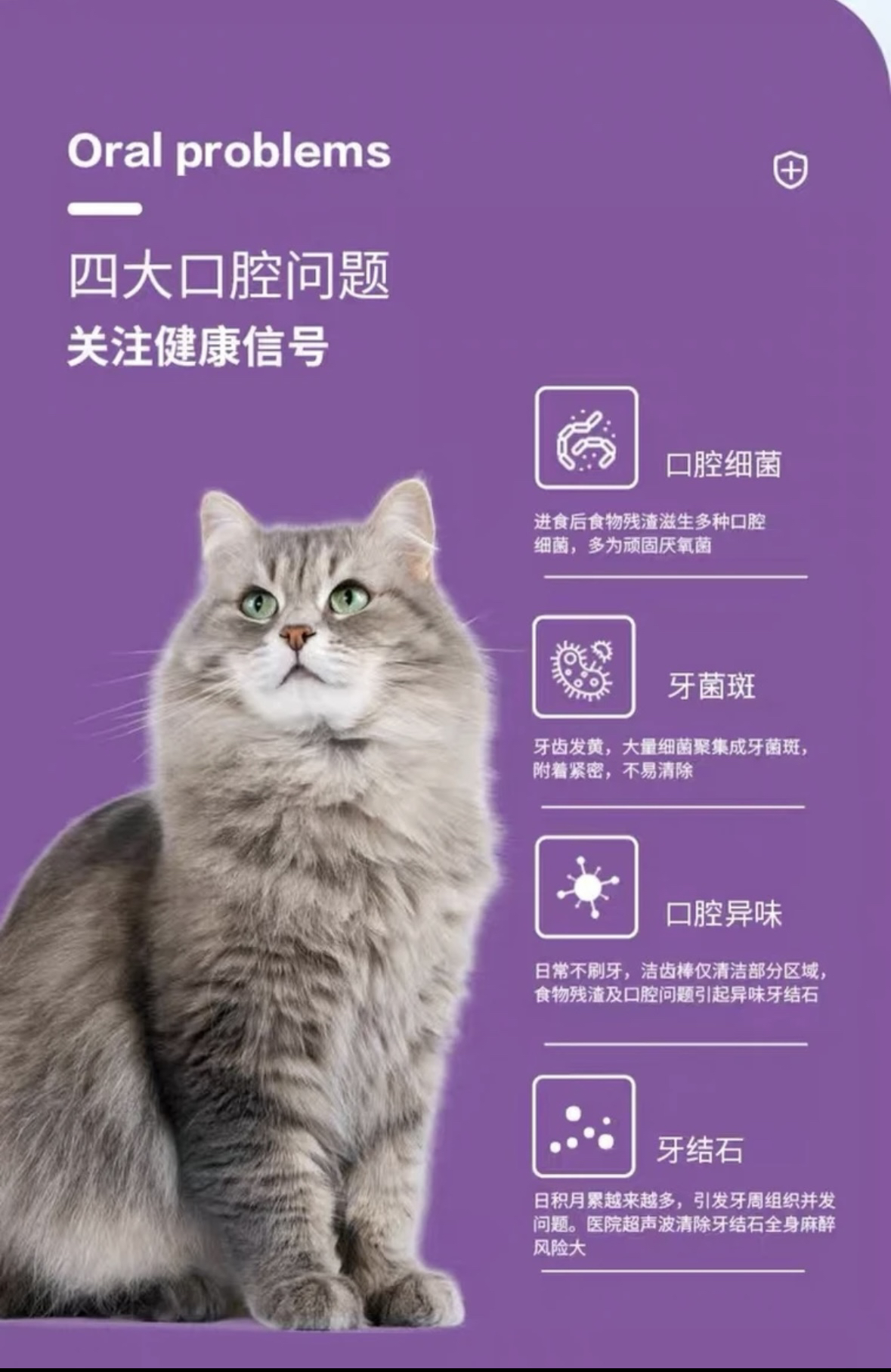 可鲁复合溶菌酶口腔喷剂猫咪口炎消炎狗狗牙龈红肿清新口气抑菌雾 - 图2