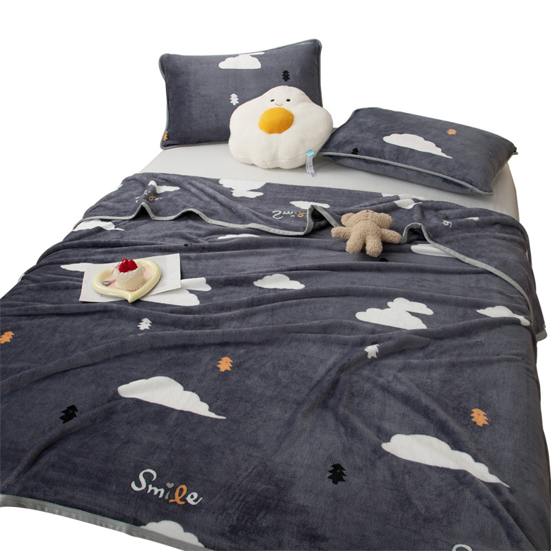 冬季加厚珊瑚绒床单单件牛奶绒毯法兰绒毛毯单人双人加绒被单冬天