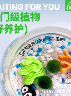 巷陌祝福海藻球城市岛装饰摆件