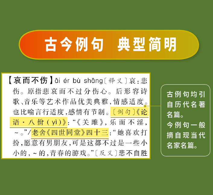 2023正版中华成语大词典（第4版）成语字典词典新版成语词典 小学生初高中学生专用成语辞典大全汉语字典成语工具书籍2022非最新版 - 图0