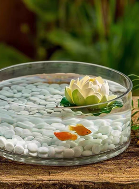 亚克力透明水培鱼缸花盆大口径
