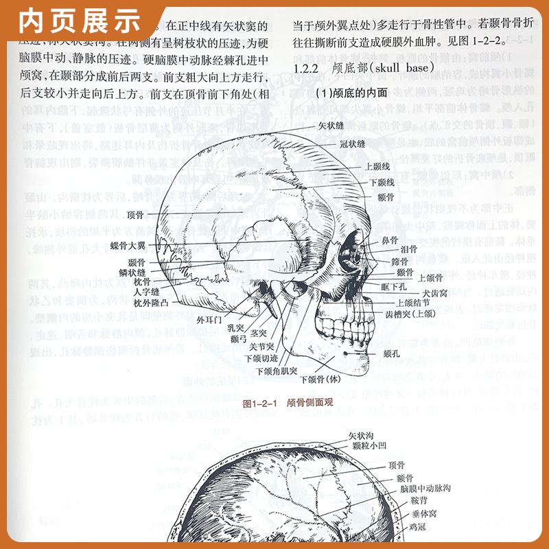 彩图版王忠诚神经外科学 第二版 第2版 各级神经外科医生研究生学习教材参考工具书  神经外科学 湖北科技出版社正版保证 - 图1