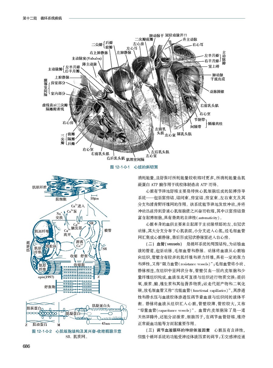 新版实用内科学第16版第十六版综合性的大型西氏内科工具参考书籍西医临床医学呼吸消化病学肾脏病学神经肾内重症急诊人卫版15十五-图1