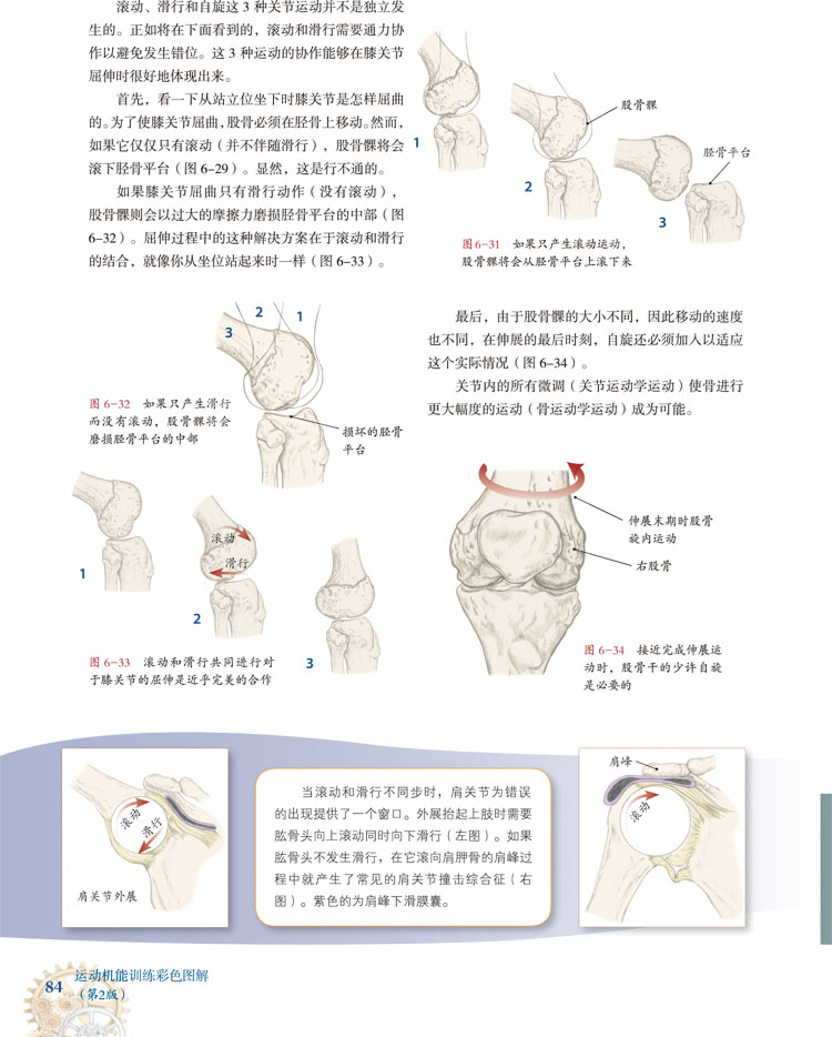 正版 运动机能训练彩色图解 第2二版 通过典型案例阐明每一个复杂运动的产生过程深入探讨不良动作安德鲁比尔著山东科学技术出版社 - 图2