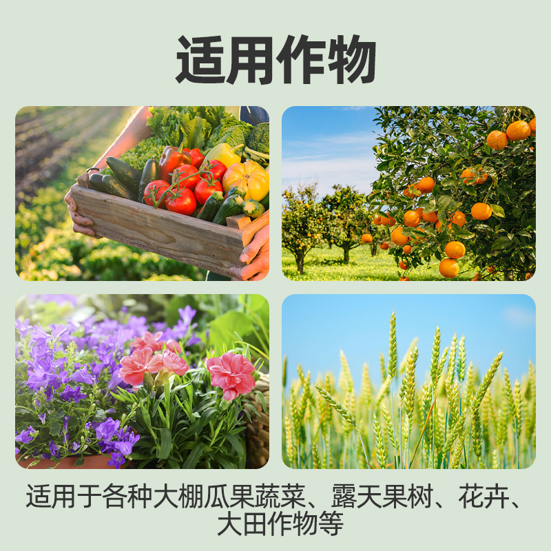 钙镁硼锌铁中微量元素水溶肥料果树蔬菜防裂果钼锰铜通用型叶面肥