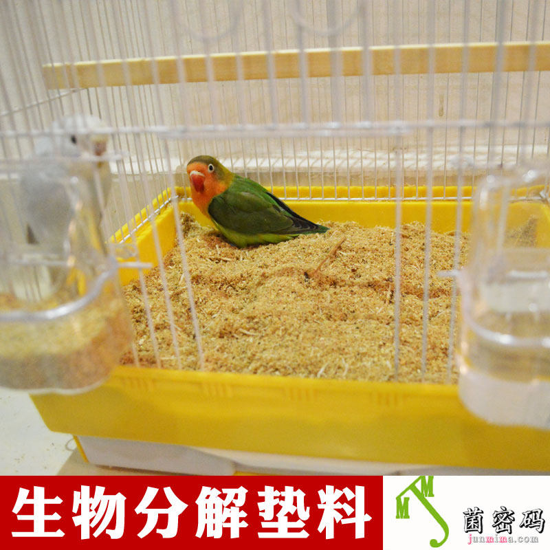 鹦鹉除臭垫料木粒玄凤鹦鹉粪便分解雏鸟木屑鸟粪除臭沙鹦鹉窝垫料,淘宝优惠券,粉丝福利购,淘宝优惠卷