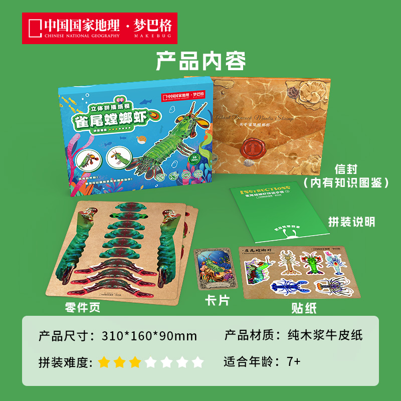 博物文创海洋系列纸模雀尾螳螂虾皮皮虾拼装创意节日礼物学生-图3