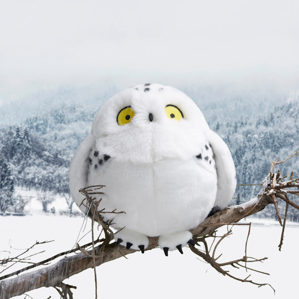 博物小馆|圆宝 雪鸮白色猫头鹰毛绒抱抱可爱玩偶女生睡觉公仔