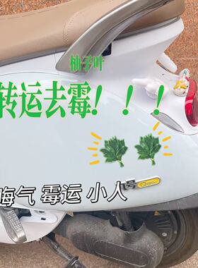 柚子叶转印贴水晶标手机空调去晦气转运防水平板笔记本水杯装饰贴