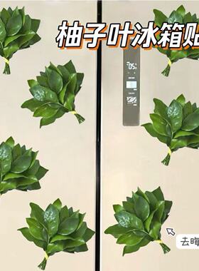 柚子叶去晦气冰箱贴转运幸运亚克力创意小众搞怪礼物冰箱装饰品