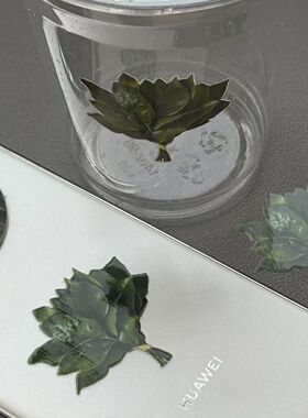 柚子叶转印贴水晶标手机空调去晦气转运防水平板笔记本水杯装饰贴