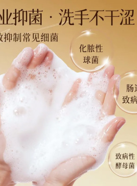 云卫士黄芪银离子洗手液 抑菌温和不伤手清洁酒店院线护理清洗液