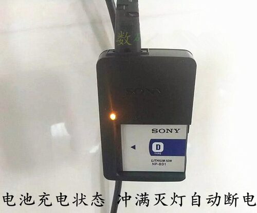 索尼DSC-T500 T200 T300 T700 T77 T75数码相机NP-BD1电池+充电器 - 图3