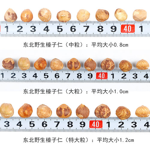 新货东北特产野生榛子仁500g熟原味大榛子生烘焙新鲜铁岭榛果新鲜 - 图3