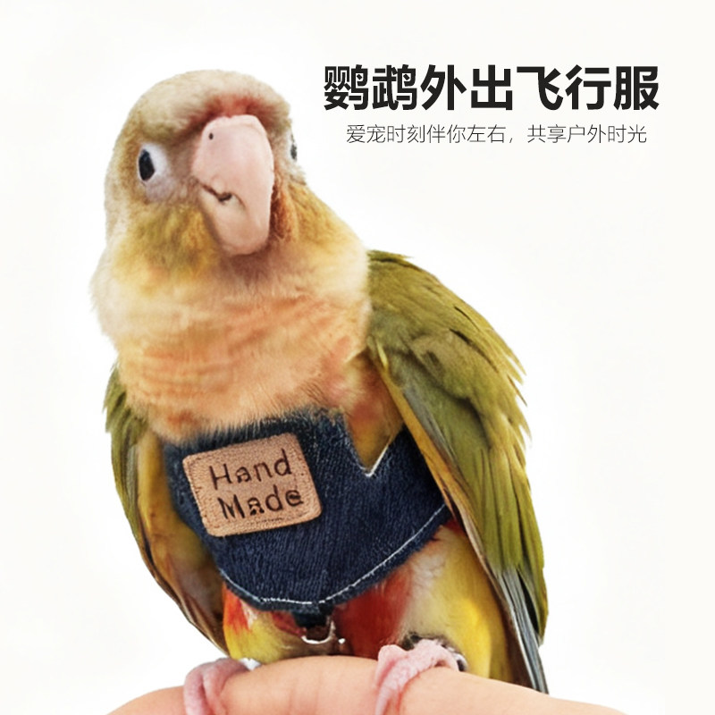 图2