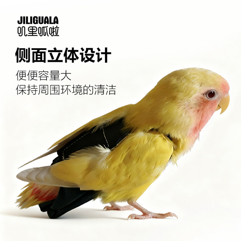 无底缝鹦鹉鸟用尿不湿衣服屎兜尿裤尿布飞行服玄凤牡丹虎皮放飞绳,淘宝优惠券,粉丝福利购,淘宝优惠卷