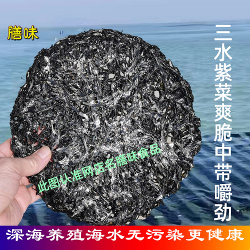 莱芜紫菜干货澄海500g潮汕250g头水二水汕头礼盒天然日晒商用头茬 - 图0