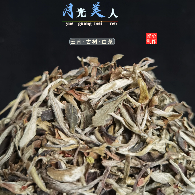 月光美人云南古树特级茶叶2023年头春新茶花香蜜甜古树白茶 - 图0
