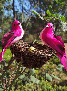 假鸟仿真羽毛泡沫鸟鸟窝家居装饰
