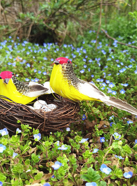 仿真蛤蟆藤编情侣鸟窝麻雀鸽子窝