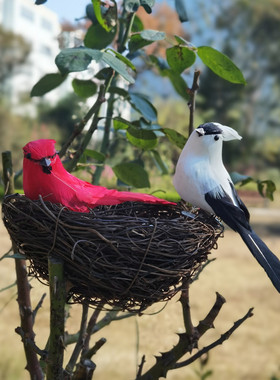 仿真小鸟鸟装饰真羽毛鸟窝摆件