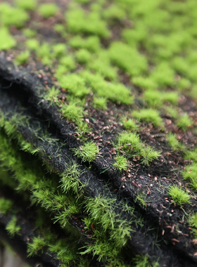 仿真青苔藓草皮绿植铺面假苔藓