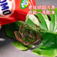 Sterilization and mite removal laundry detergent mystery long-acting antibacterial and stain removal