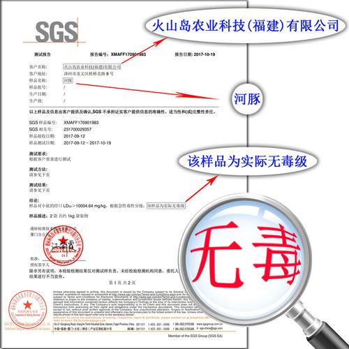 小河豚鱼食用已处理肉肝皮没毒新鲜活体现杀冷冻500g酒店特色食材 - 图0