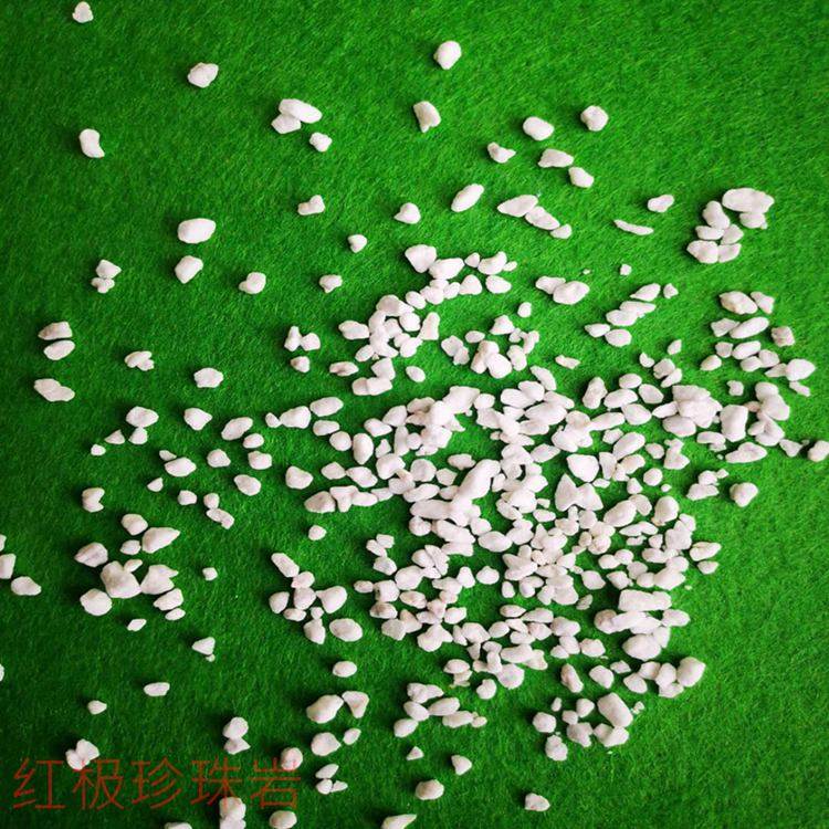 红极园艺农业无土栽培珍珠岩基质育苗专用园林绿化用珍珠岩介质营,淘宝优惠券,粉丝福利购,淘宝优惠卷
