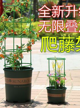 (K)花架子室内家用支架通用型蟹爪花架莲花护叶架园艺盆栽支撑杆