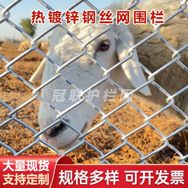 铁丝网围栏勾花网养殖猪牛羊隔离网户外庭院果园防护钢丝网护栏网,淘宝优惠券,粉丝福利购,淘宝优惠卷