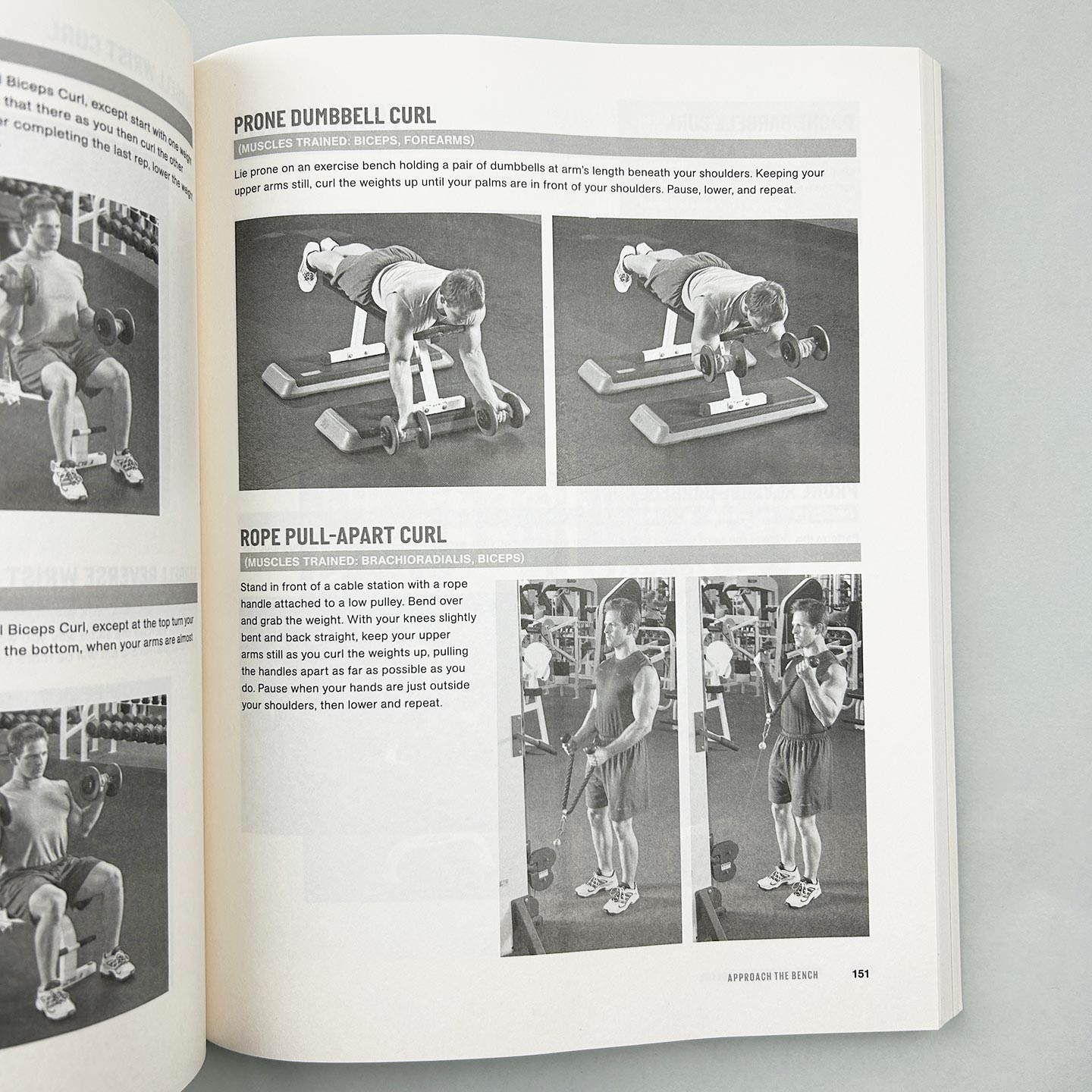 英文原版 The Men's Health Gym Bible 男性健康健身房宝典 第二版 包括举重和有氧运动的数百种练习 英文版 进口英语原版书籍