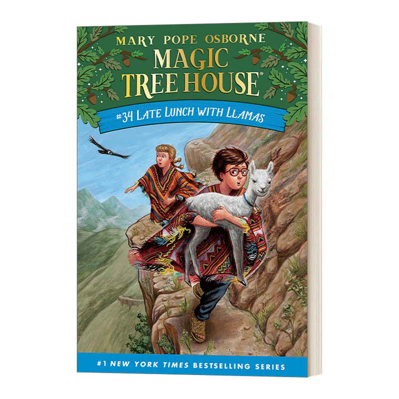 Late Lunch With Llamas Mth34 神奇树屋34 英文原版儿童初级章节书 6-9岁 进口英语书籍 - 图0