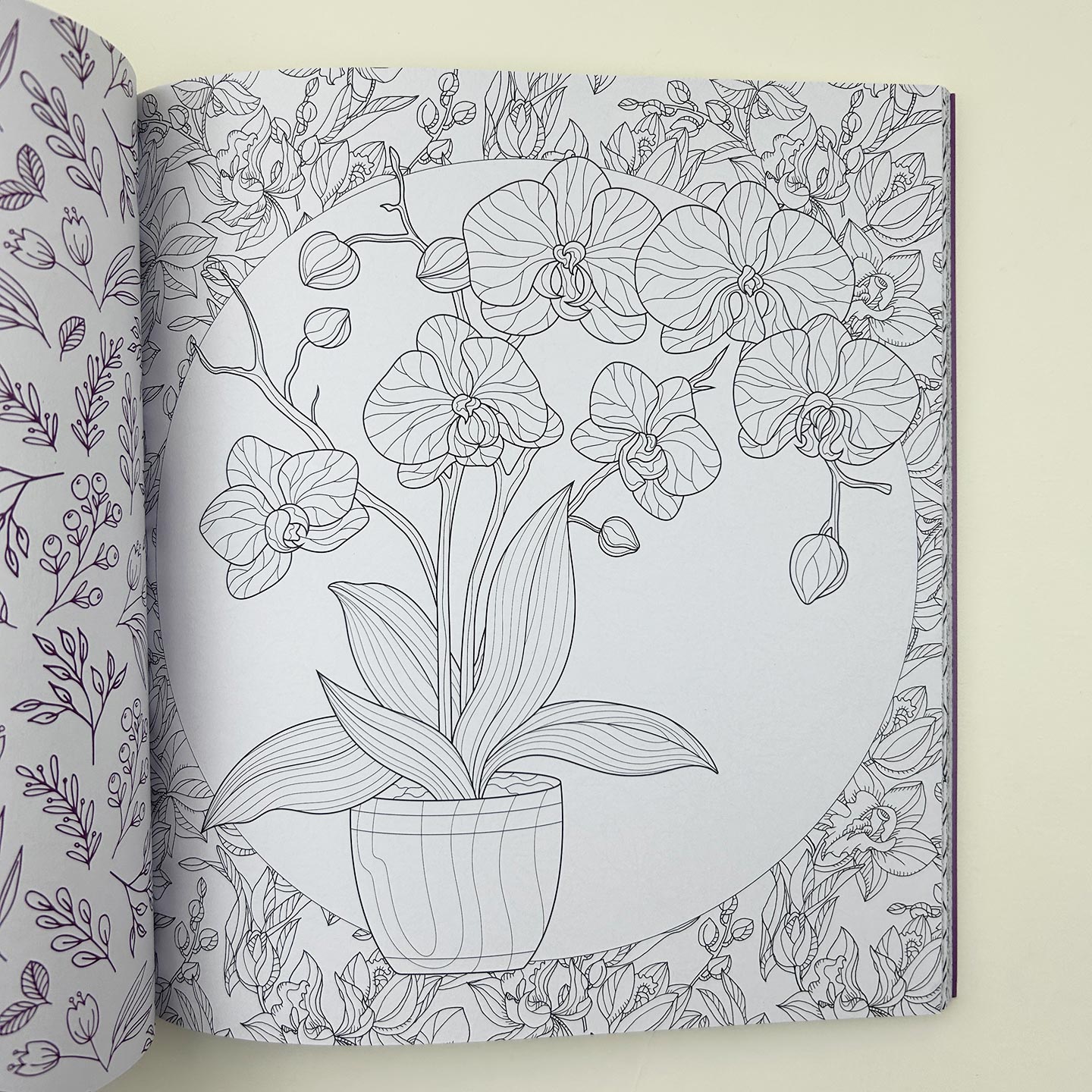 英文原版 Beautiful Blooms A Coloring Book of Flowers 7 美丽的花朵 花朵艺术绘画涂色 英文版 进口英语原版书籍