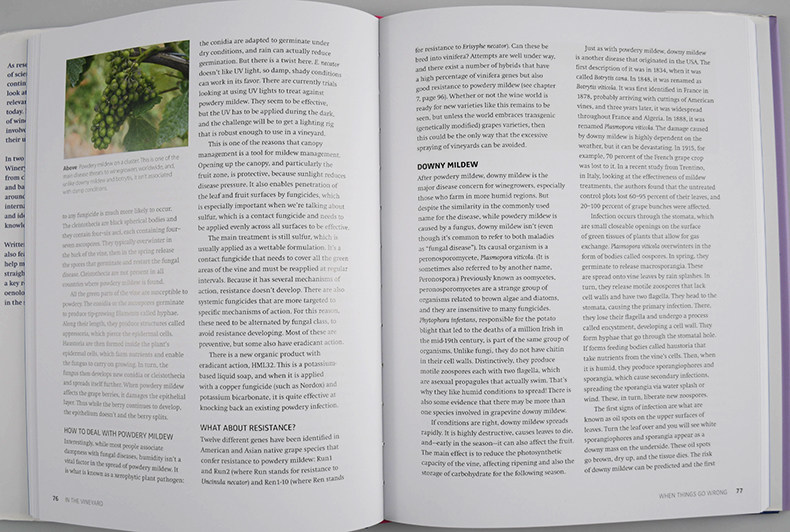 葡萄酒科学 酿酒中的科学应用 Wine Science The Application of Science in Winemaking 英文原版酿酒教程 进口书籍