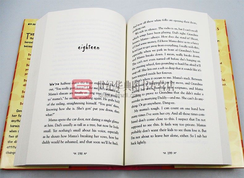 吉妮西丝的清单 精装 Genesis Begins Again 纽伯瑞银奖 英文原版儿童文学小说 进口英语书籍 - 图1